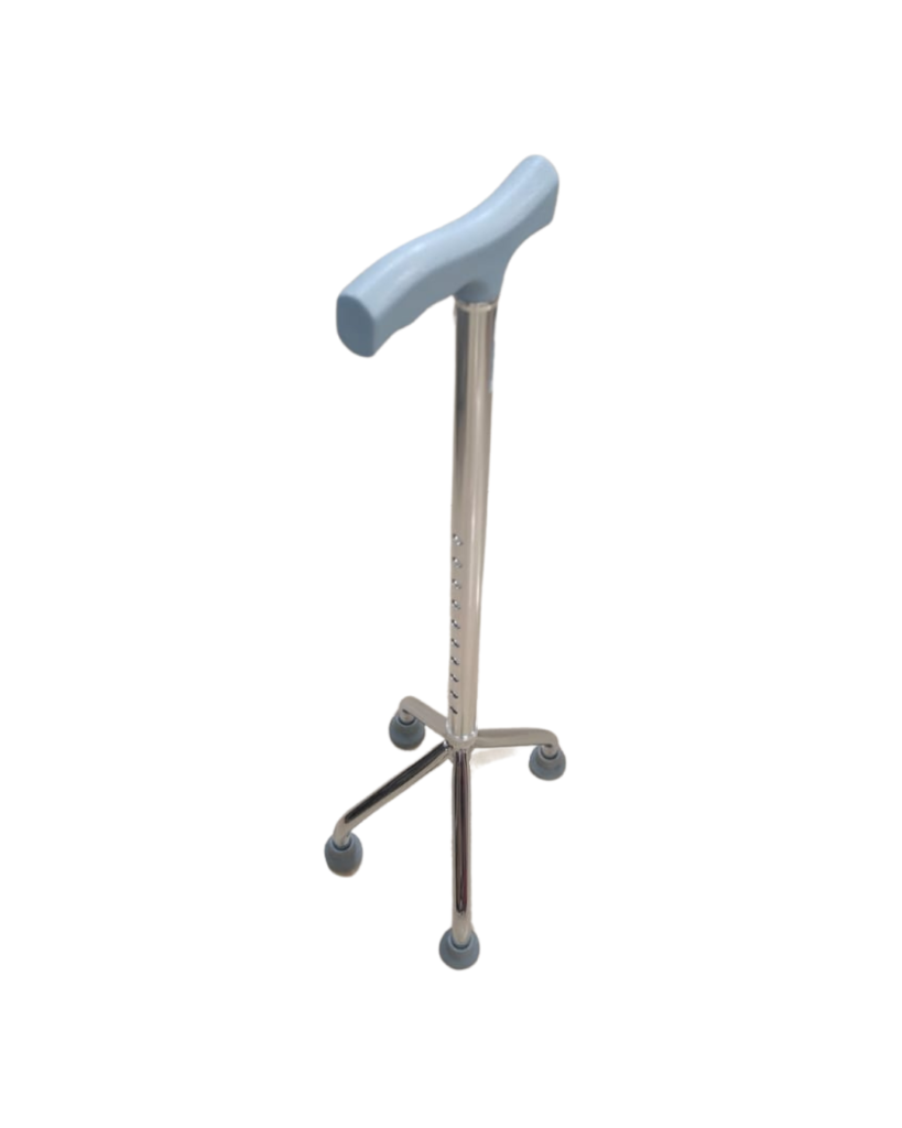 walking stick